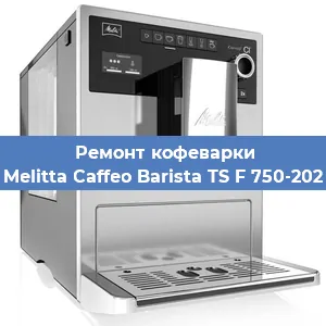 Чистка кофемашины Melitta Caffeo Barista TS F 750-202 от кофейных масел в Нижнем Новгороде